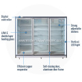 Double Glass Doors Supermarket Display Vertical Freezer